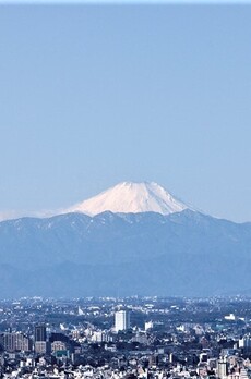 ラトゥール三田 