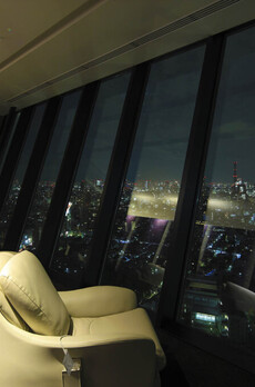 コンフォリア新宿イーストサイドタワー 