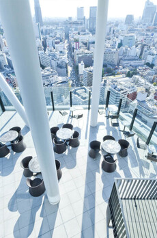 コンフォリア新宿イーストサイドタワー 