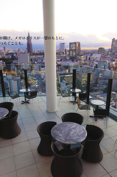 コンフォリア新宿イーストサイドタワー 