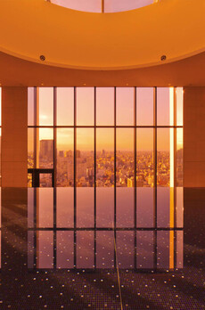 コンフォリア新宿イーストサイドタワー 