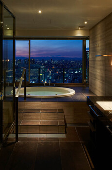 コンフォリア新宿イーストサイドタワー 