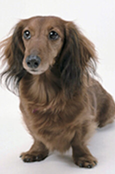 プラウドフラット森下Ⅳ 