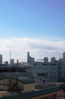 ザ湾岸タワーレックスガーデン 
