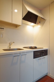 プラティーヌ新宿副都心 