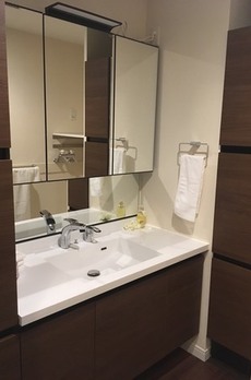 渋谷インフォスタワーハイツ 