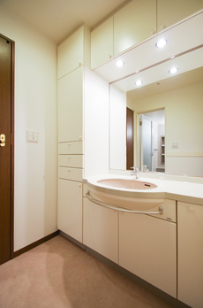 渋谷インフォスタワーハイツ 