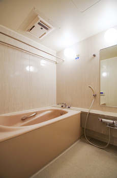 渋谷インフォスタワーハイツ 