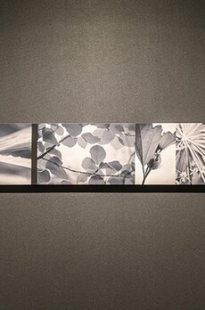 パークアクシス木場キャナルウエスト 