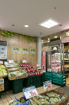 ザパークハビオ月島フロント 