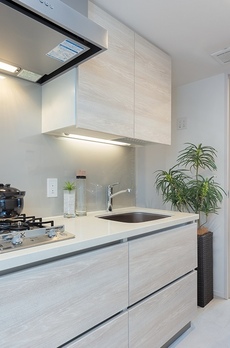 ザパークハビオ月島フロント 