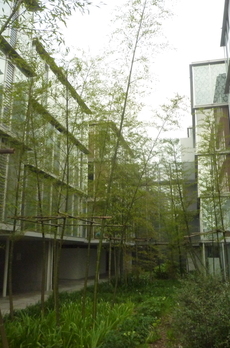 G-FLAT 
