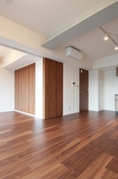 The TriBeCa 