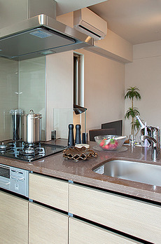 ザ・パークハビオ上野レジデンス 