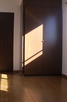 藤和シティコープ新富町 
