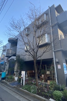 カーサグリジオ 