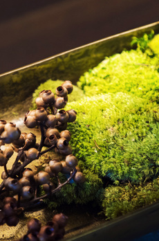 プラウドフラット浅草橋Ⅲ 