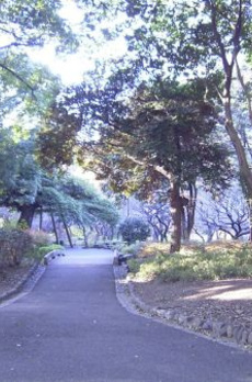 KDXレジデンス芝公園 