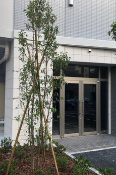 アーバネックス深川住吉Ⅲ 