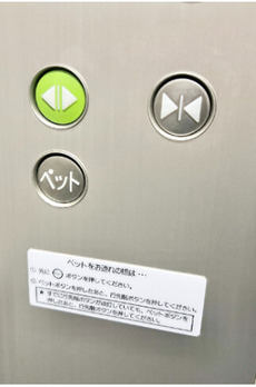 プレール・ドゥーク菊川 