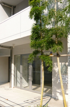 CITY SPIRE新富町 