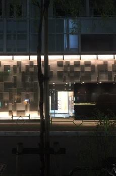 ミレアコート銀座プレミア 