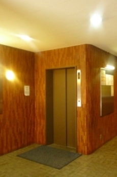 ラフィネ東銀座 