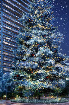 パークタワー晴海 