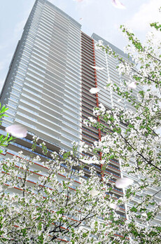 パークタワー晴海 