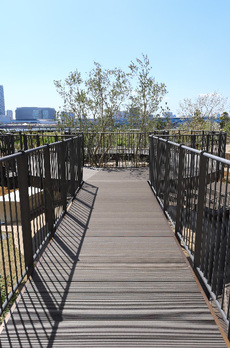 パークタワー晴海 