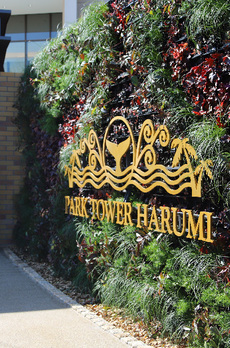 パークタワー晴海 