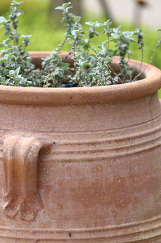 パークタワー晴海 