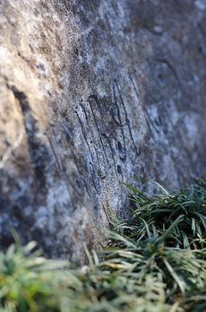 パークタワー晴海 