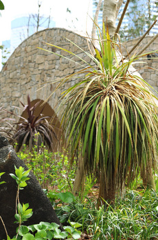 パークタワー晴海 