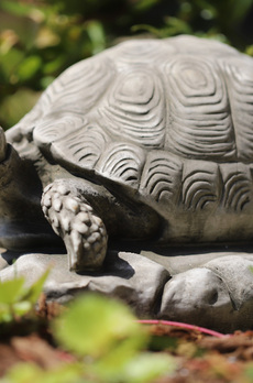 パークタワー晴海 