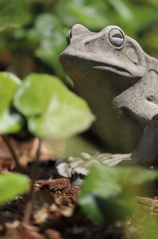 パークタワー晴海 