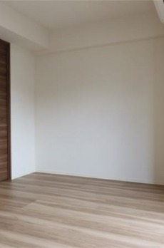 クリアルプレミア大島 