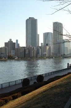 銀座レジデンス伍番館 