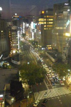 DUPLEX GINZA TOWER 5/13 