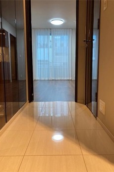 ミレアコート銀座プレミア 