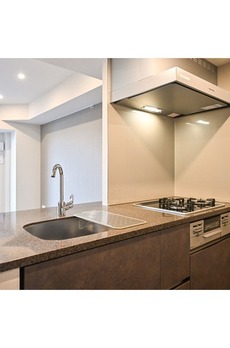 ザ・パークハビオ入谷 