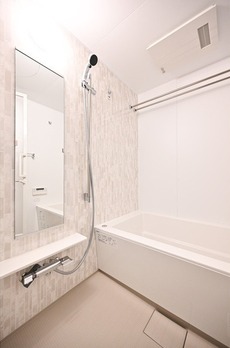 ザ・パークハビオ入谷 