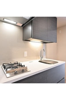 ザ・パークハビオ入谷 