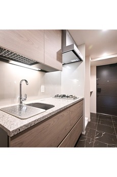 ザ・パークハビオ入谷 