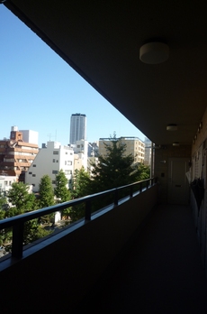 フォルトゥナ日本橋 