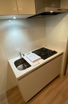 ルネサンスコート蒲田 