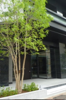 パークハビオ渋谷本町レジデンス 