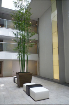 パークハビオ渋谷本町レジデンス 