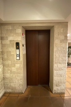 カスタリア銀座 