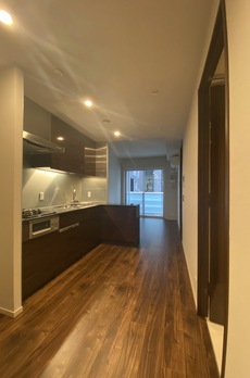 ミレアコート銀座プレミア 